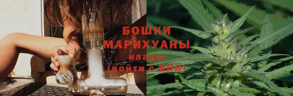 дмт Бородино