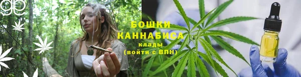 дмт Бородино
