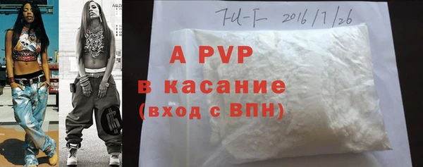 дмт Бородино