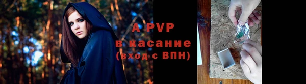 дмт Бородино