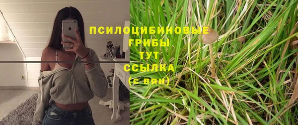 дмт Бородино