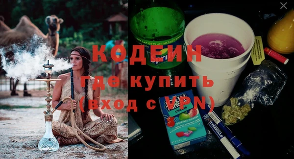 дмт Бородино