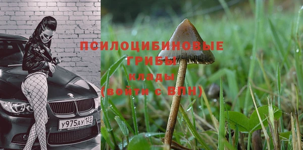 дмт Бородино