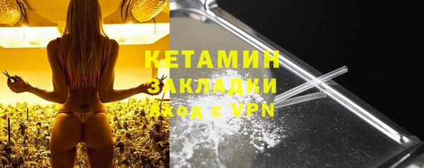 дмт Бородино