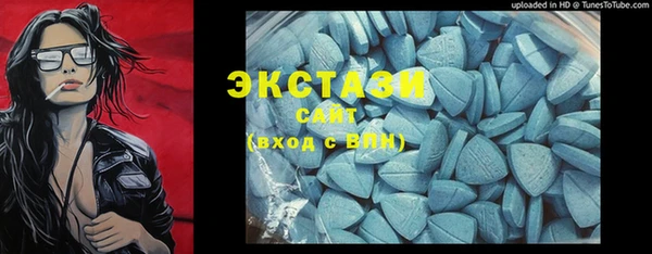 дмт Бородино